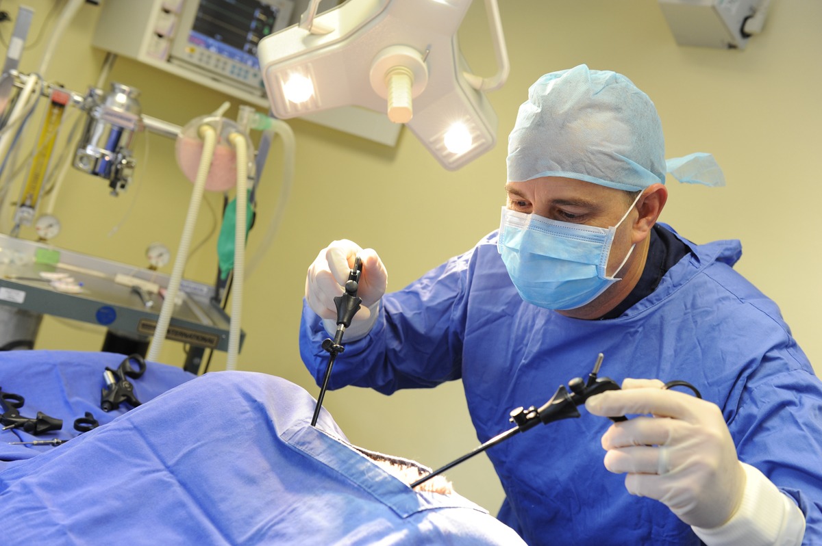Laparoscopic Surgery in Iran