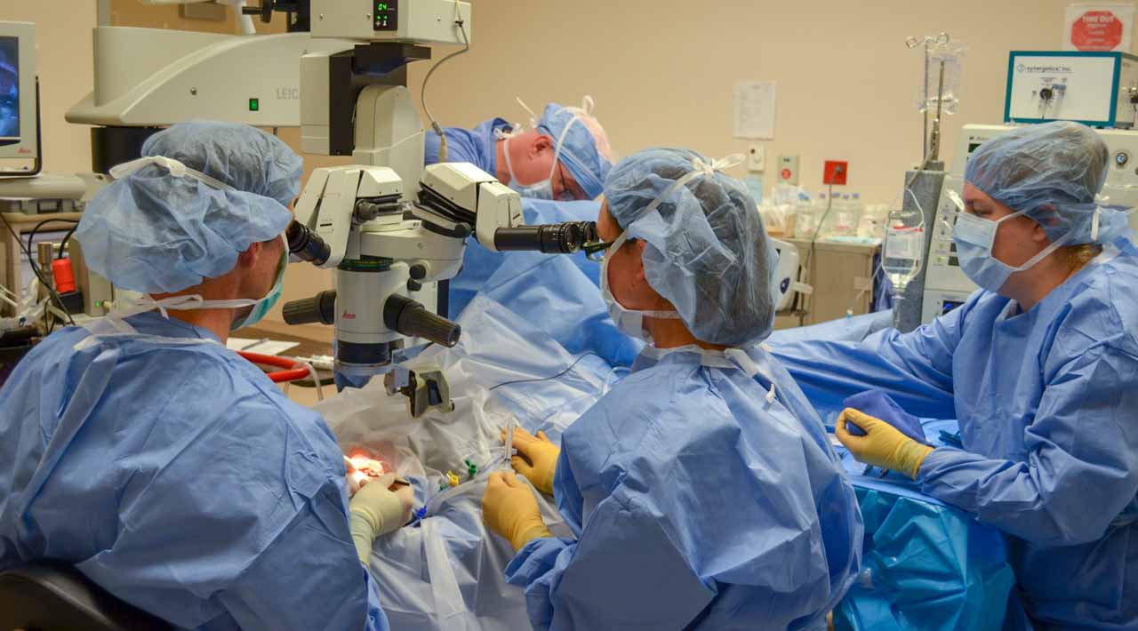 Vitrectomy Surgery in Iran